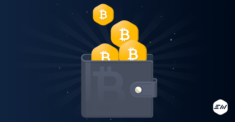 Хранение биткоинов — Крипто Новости