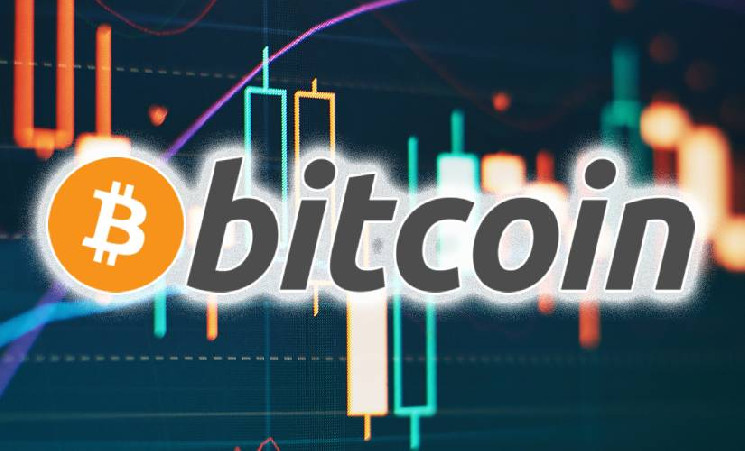 Капитализация BTC выросла на 22,5% с выборов Трампа &mdash; Крипто Новости