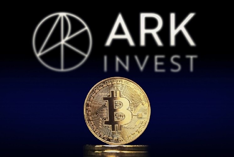 Аналитическая компания ARK Invest представляет подробный отчет о биткоине: достигли ли мы дна или вот-вот достигнем? &mdash; Крипто Новости