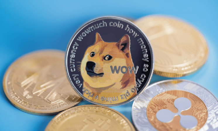Dogecoin Wallet и команды приложений объединяются, чтобы дать DOGE больше возможностей для повседневного использования — Крипто Новости