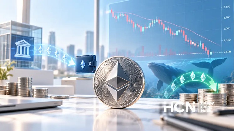 Снижение цены эфириума до $2,600 повысило активность криптокитов &mdash; Крипто Новости